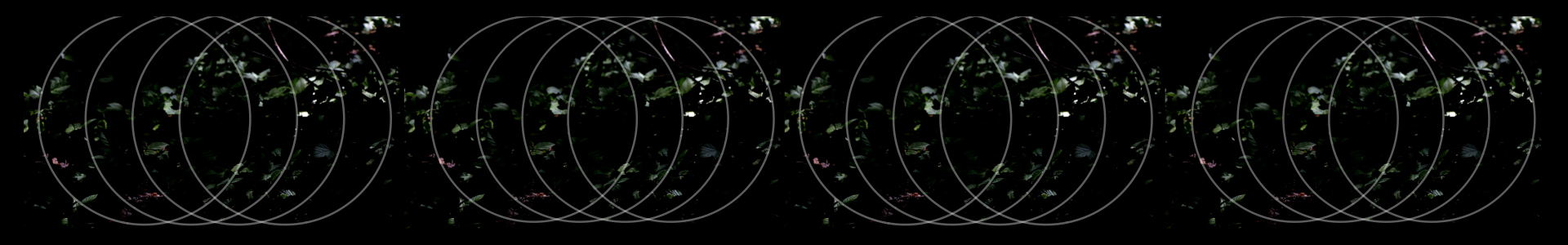 WEBSITE_STILLS_SUSTAINABILITY (0-00-00-00)