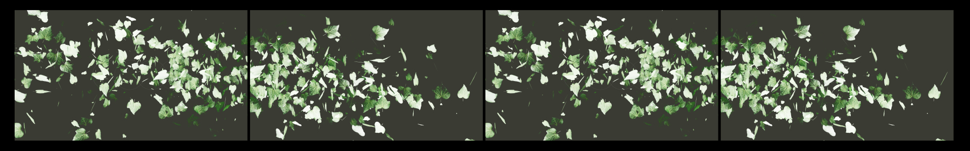 WEBSITE_STILLS_SUSTAINABILITY (0-00-54-16)